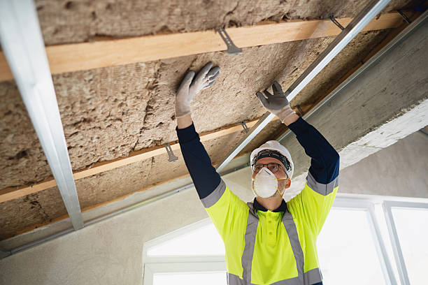 istockphoto 2210517156 612x612
