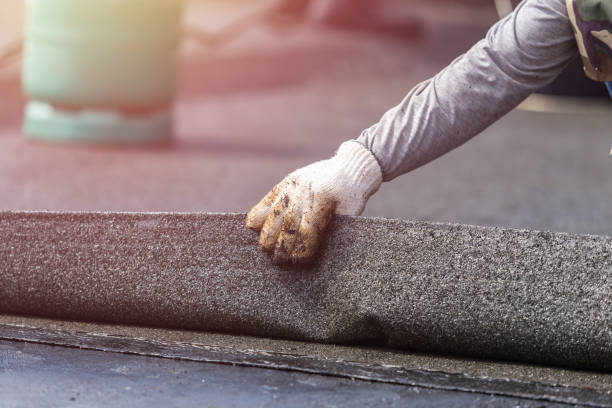 istockphoto 915959790 612x612