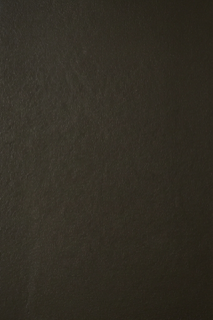untitled design 2026 02 06t065618.090
